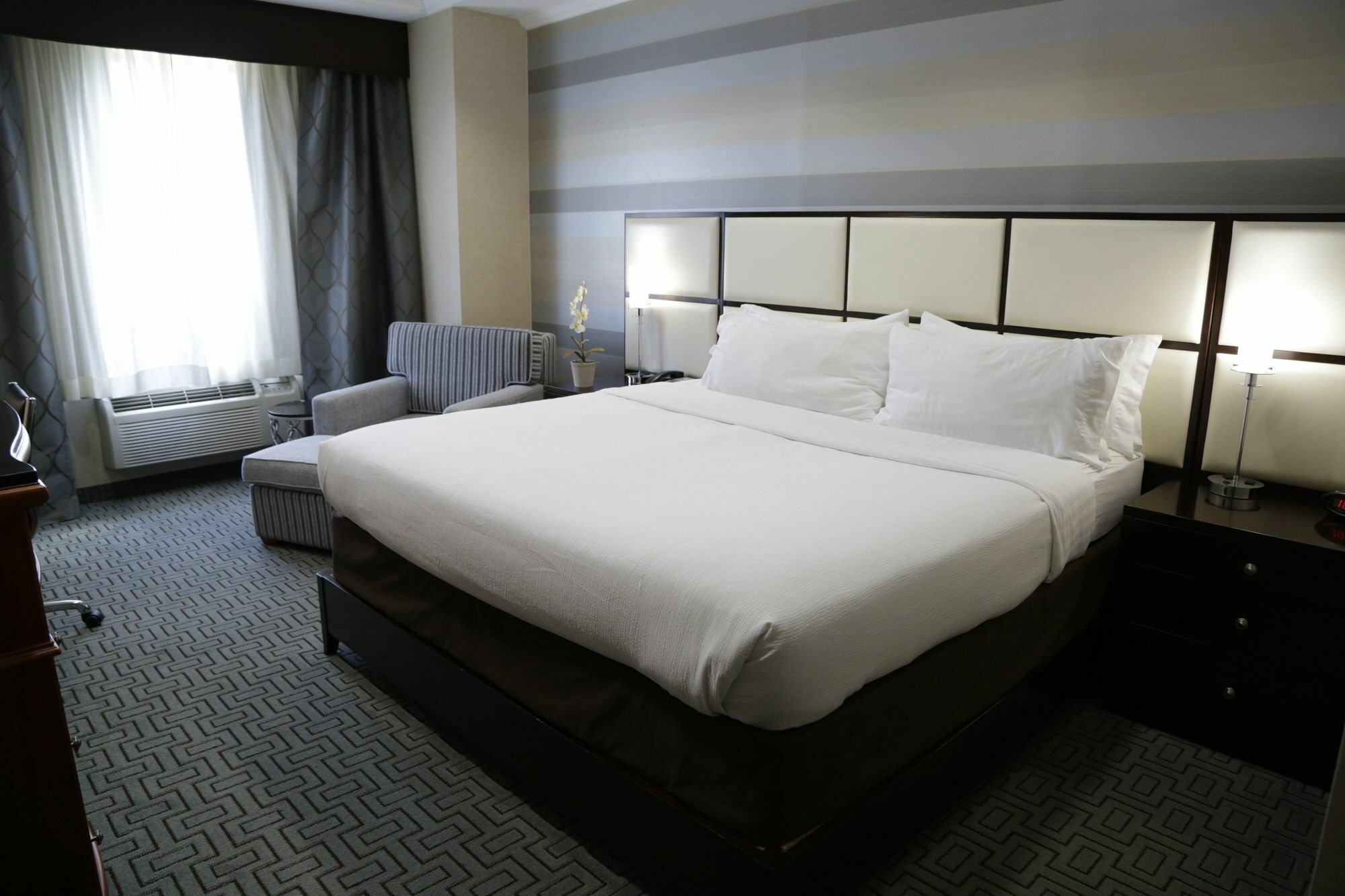 Holiday Inn Plainview-Long Island By Ihg Eksteriør bilde